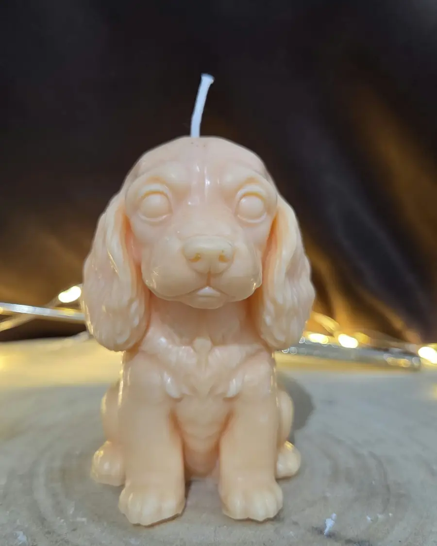 Peach cocker spaniel candle sitting up with long wavy ears, on a wood slice with fairy lights behind