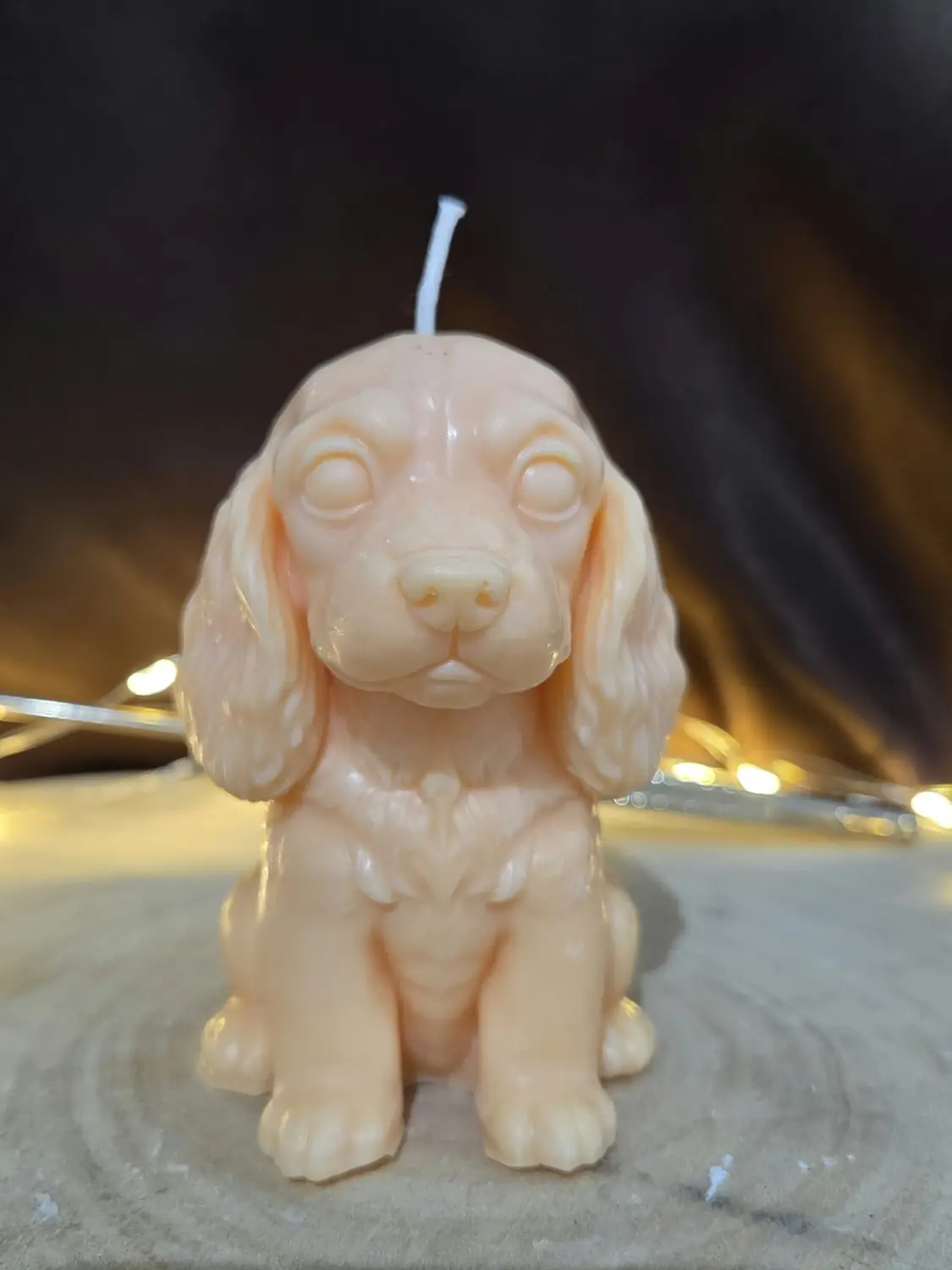 Peach cocker spaniel candle sitting up with long wavy ears, on a wood slice with fairy lights behind